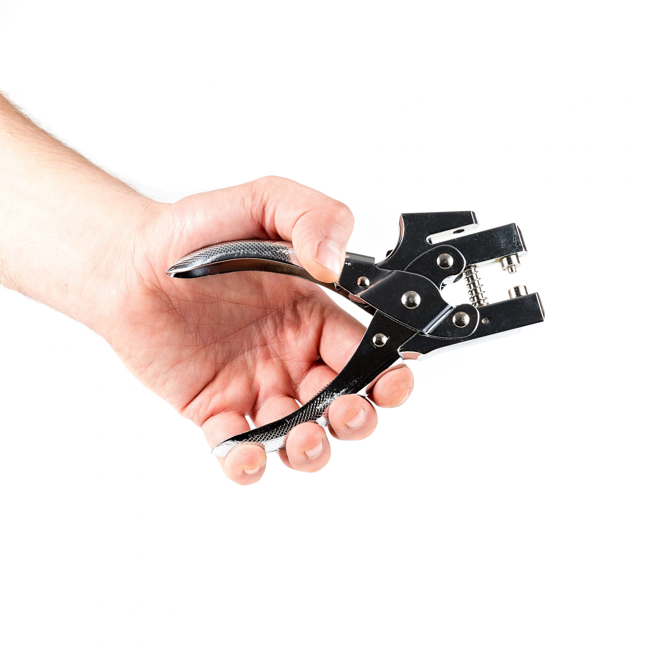 Kleszcze 3.1 scaled 1